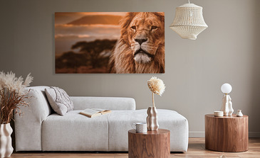 Visualisierung des Produkts