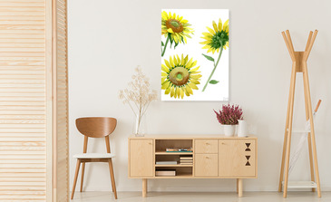 Visualisierung des Produkts