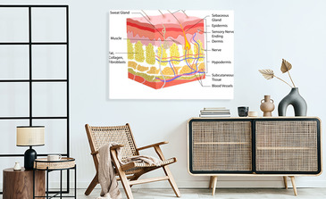 Visualisierung des Produkts
