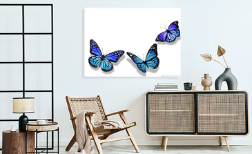 Visualisierung des Produkts