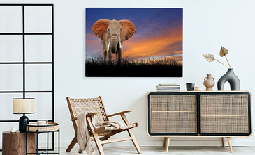 Visualisierung des Produkts