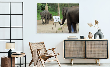 Visualisierung des Produkts