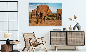 Visualisierung des Produkts