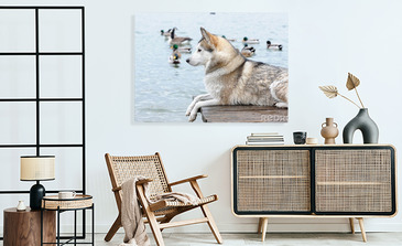 Visualisierung des Produkts