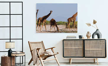 Visualisierung des Produkts