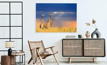 Visualisierung des Produkts