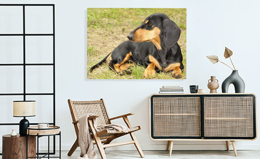 Visualisierung des Produkts