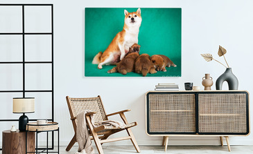 Visualisierung des Produkts