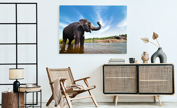 Visualisierung des Produkts