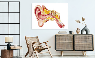Visualisierung des Produkts