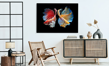 Visualisierung des Produkts