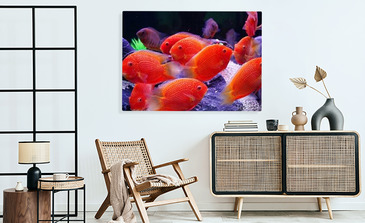 Visualisierung des Produkts