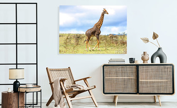 Visualisierung des Produkts