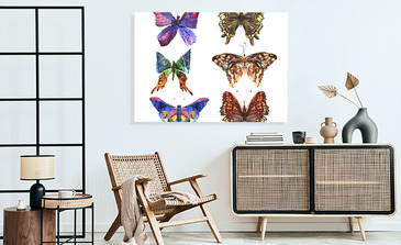 Visualisierung des Produkts