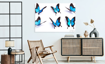 Visualisierung des Produkts