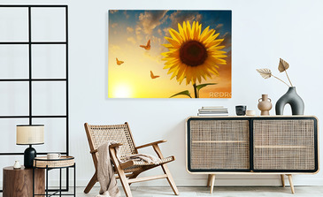 Visualisierung des Produkts