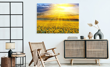 Visualisierung des Produkts