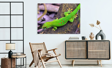 Visualisierung des Produkts