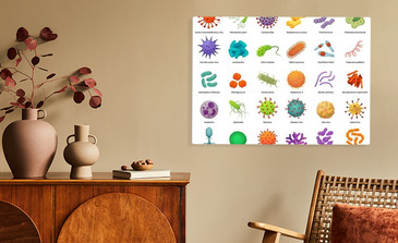 Visualisierung des Produkts