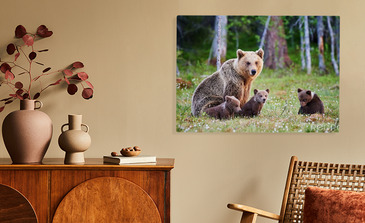 Visualisierung des Produkts