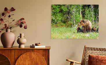 Visualisierung des Produkts