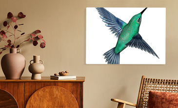 Visualisierung des Produkts