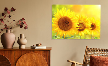 Visualisierung des Produkts