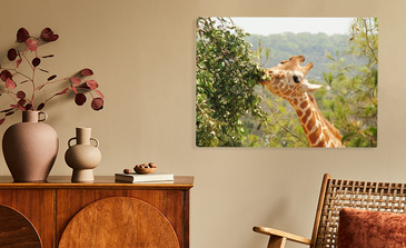 Visualisierung des Produkts