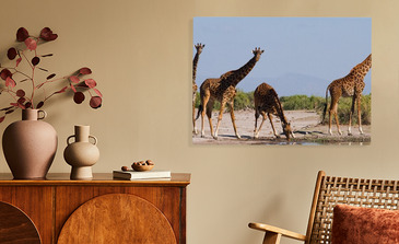 Visualisierung des Produkts