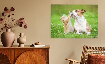 Visualisierung des Produkts