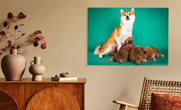 Visualisierung des Produkts