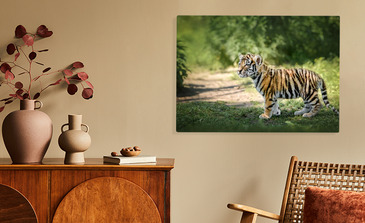 Visualisierung des Produkts