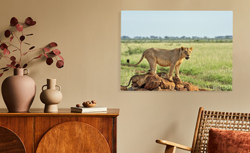 Visualisierung des Produkts