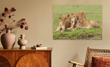 Visualisierung des Produkts