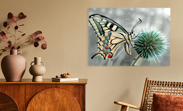 Visualisierung des Produkts