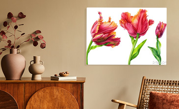 Visualisierung des Produkts