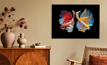 Visualisierung des Produkts