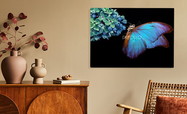 Visualisierung des Produkts