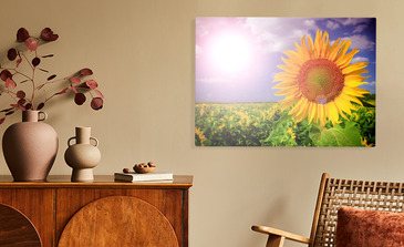 Visualisierung des Produkts