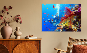 Visualisierung des Produkts