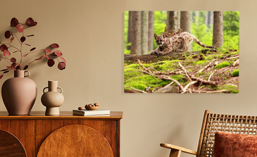 Visualisierung des Produkts