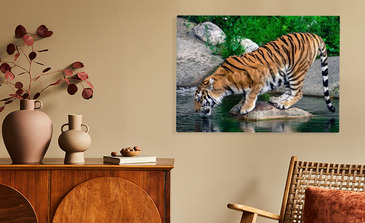 Visualisierung des Produkts