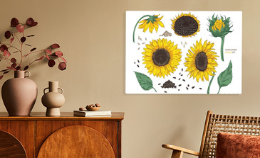 Visualisierung des Produkts