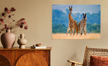 Visualisierung des Produkts