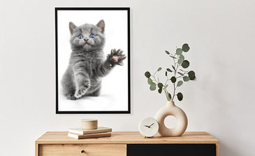 Visualisierung des Produkts