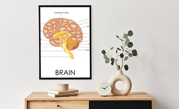 Visualisierung des Produkts