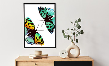 Visualisierung des Produkts