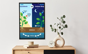 Visualisierung des Produkts