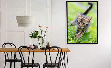 Visualisierung des Produkts