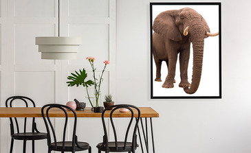 Visualisierung des Produkts